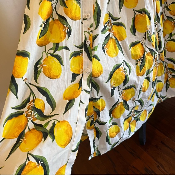 J. Crew Lemon Pattern Midi Dress - Picture 11 of 16